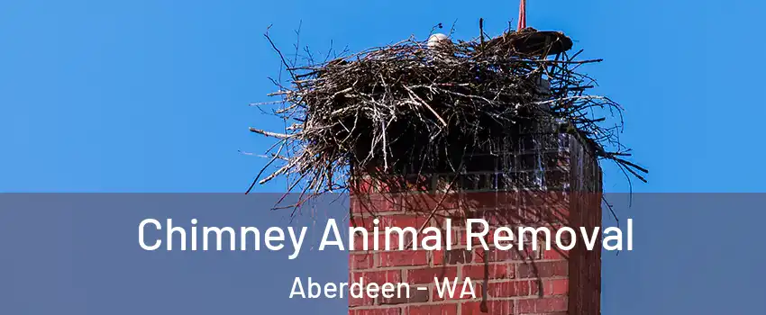  Chimney Animal Removal Aberdeen - WA