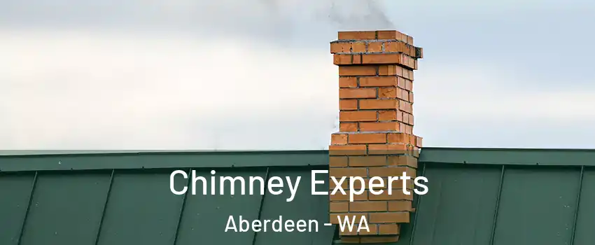  Chimney Experts Aberdeen - WA