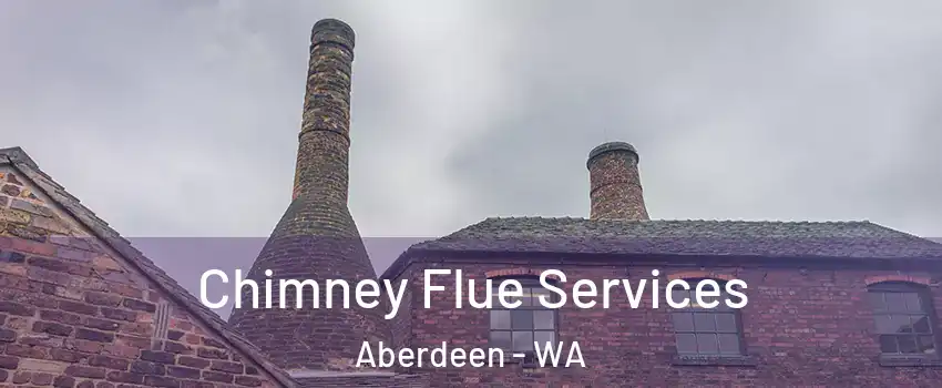  Chimney Flue Services Aberdeen - WA