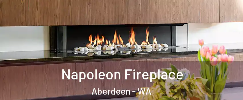  Napoleon Fireplace Aberdeen - WA